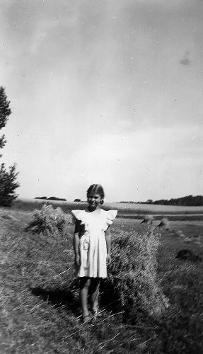 Shocking grain on William Bongard farm #2 - 1946-1947 circa