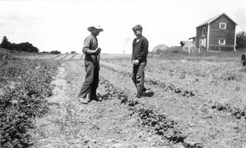 L.G. and Blanch (Sampson) Lawson's 10 acre  berry farm - circa unknown