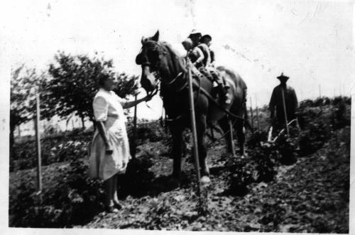 Appolonia "Franie" (Heibel) Vogel with kids on a horse working on the farm - circa unknown