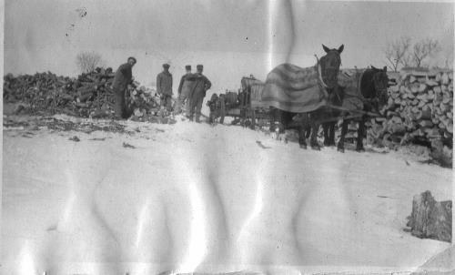 Wood cutting on the Paul & Appolonia "Franie" (Heibel) Vogel farm - circa 1920's