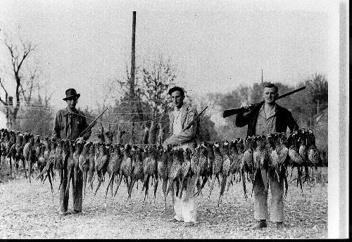 Ray Sinnen and two army friends with pheasants - circa 1937