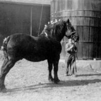 Paul Klein on farm with horse, Lucifer.