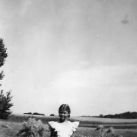 Shocking grain on William Bongard farm #2 - 1946-1947 circa