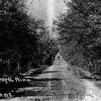 Lover's Lane (Highway 169) Shakopee, MN - circa unknown