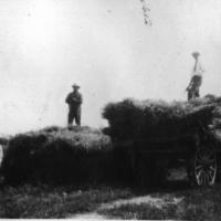 Haying in 1920's on Paul and Appolonia "Franie" (Heibel) Vogel farm