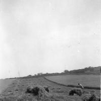 Roger Bongard shocking grain on William Bongard farm - 1947