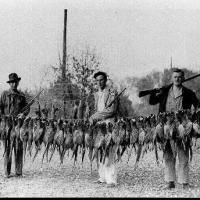 Ray Sinnen and two army friends with pheasants - circa 1937